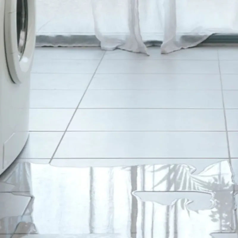 Appliance Leak Cleanup in Lorenzo, TX