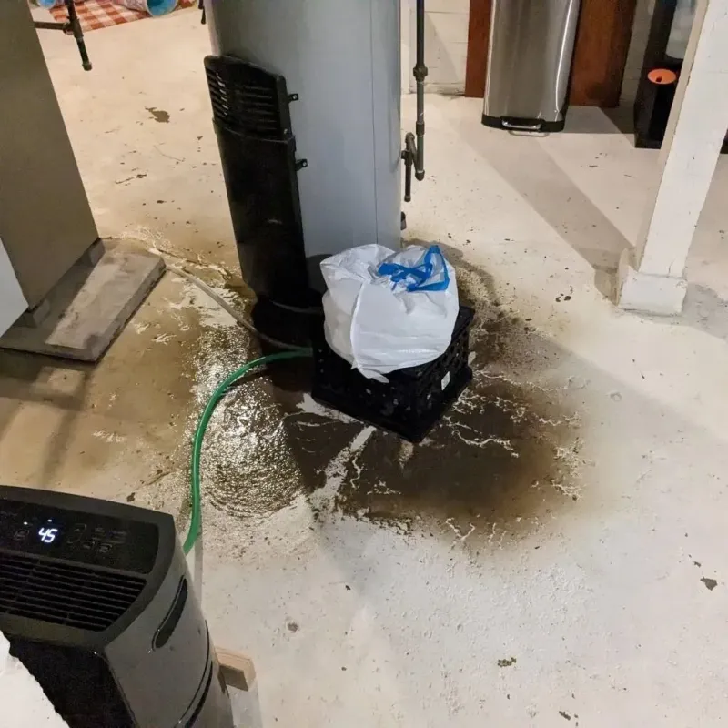Sewage Backup Cleanup Service in Lorenzo, TX